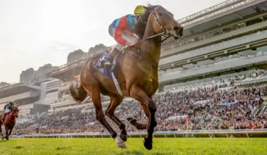 The record falls! Win No.18 for Ka Ying Rising