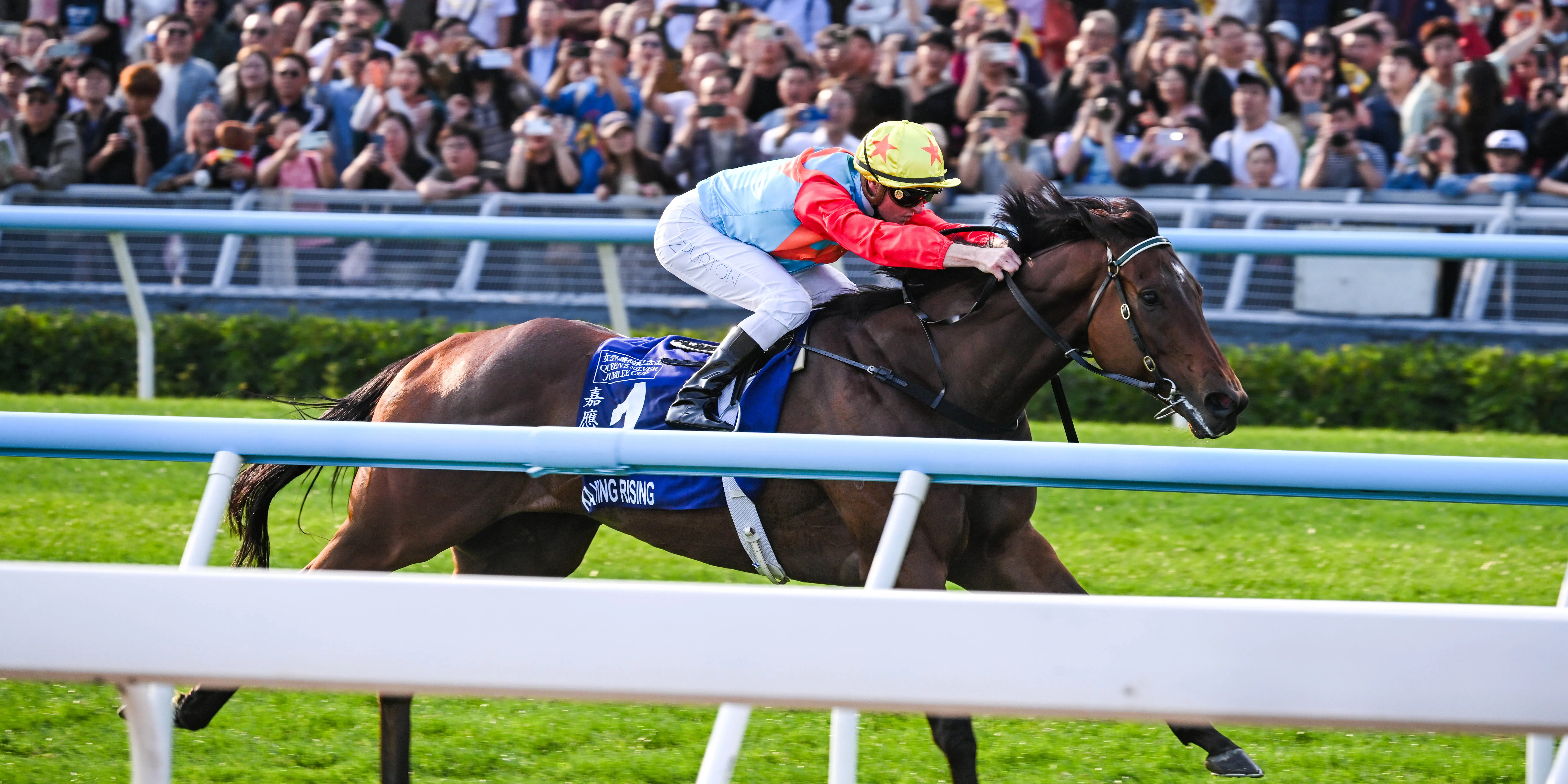 The Sha Tin crowd watches history as Ka Ying Rising and Zac Purton score an 18th consecutive win by taking out the G1 Queen's Jubilee Cup. (Image: HKJC)