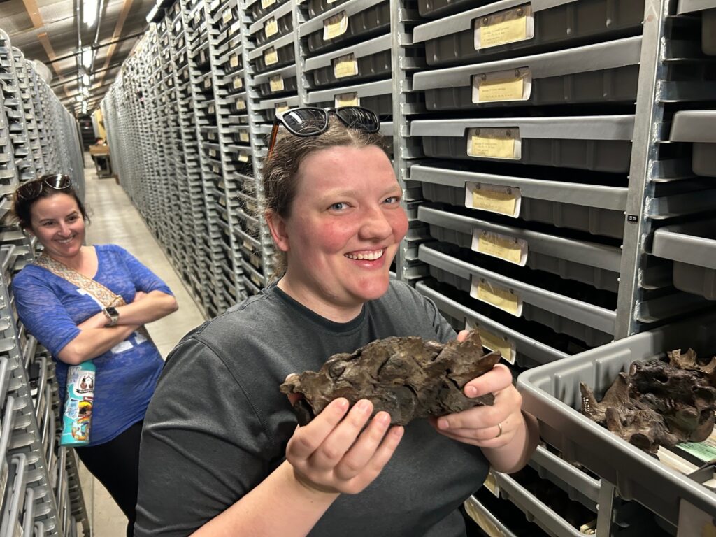 Anne Kort, assistant professor in the U-M Department of Earth and Environmental Sciences, holds a fossilized backbone from a saber-toothed cat in the collections of the La Brea Tar Pits and Museum in California as research assistant Brianne Catlin looks on. Image credit: Fabian Hardy, Slippery Rock University