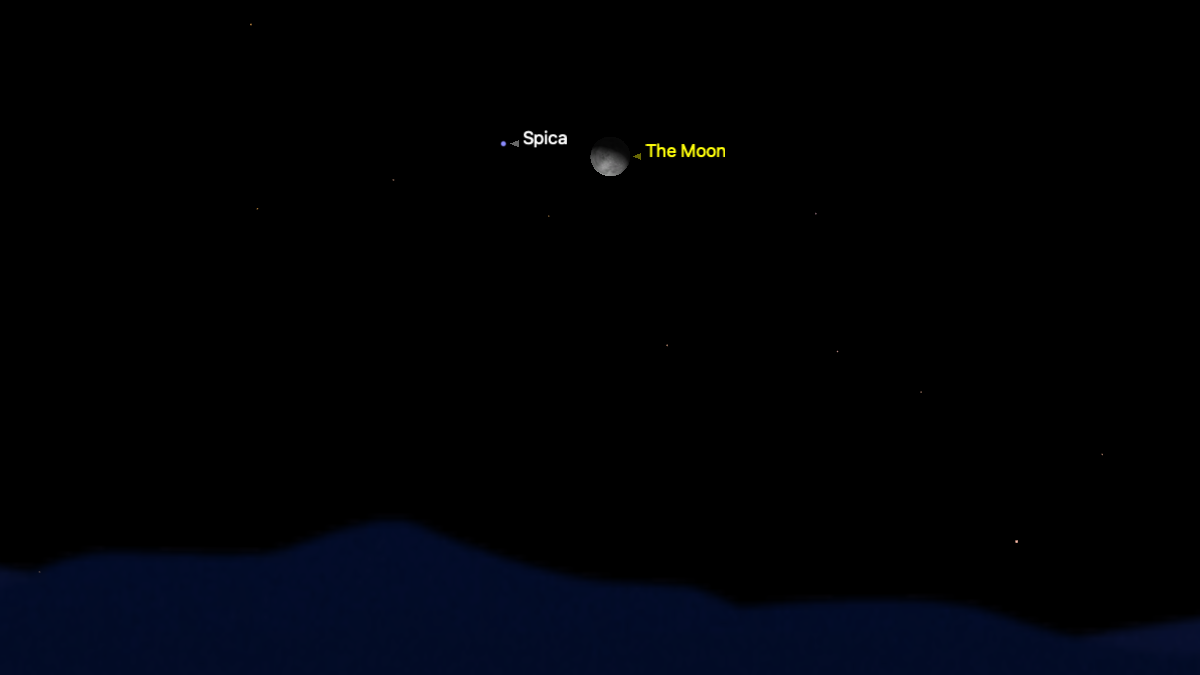 A simulation of the night sky for Feb. 6 showing the moon above a silhouetted horizon with the bright star Spica labelled to its left.