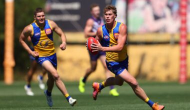 Eagles show promising signs in match sim