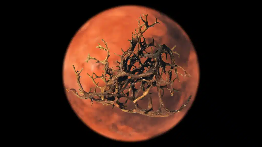 Mars Lichen