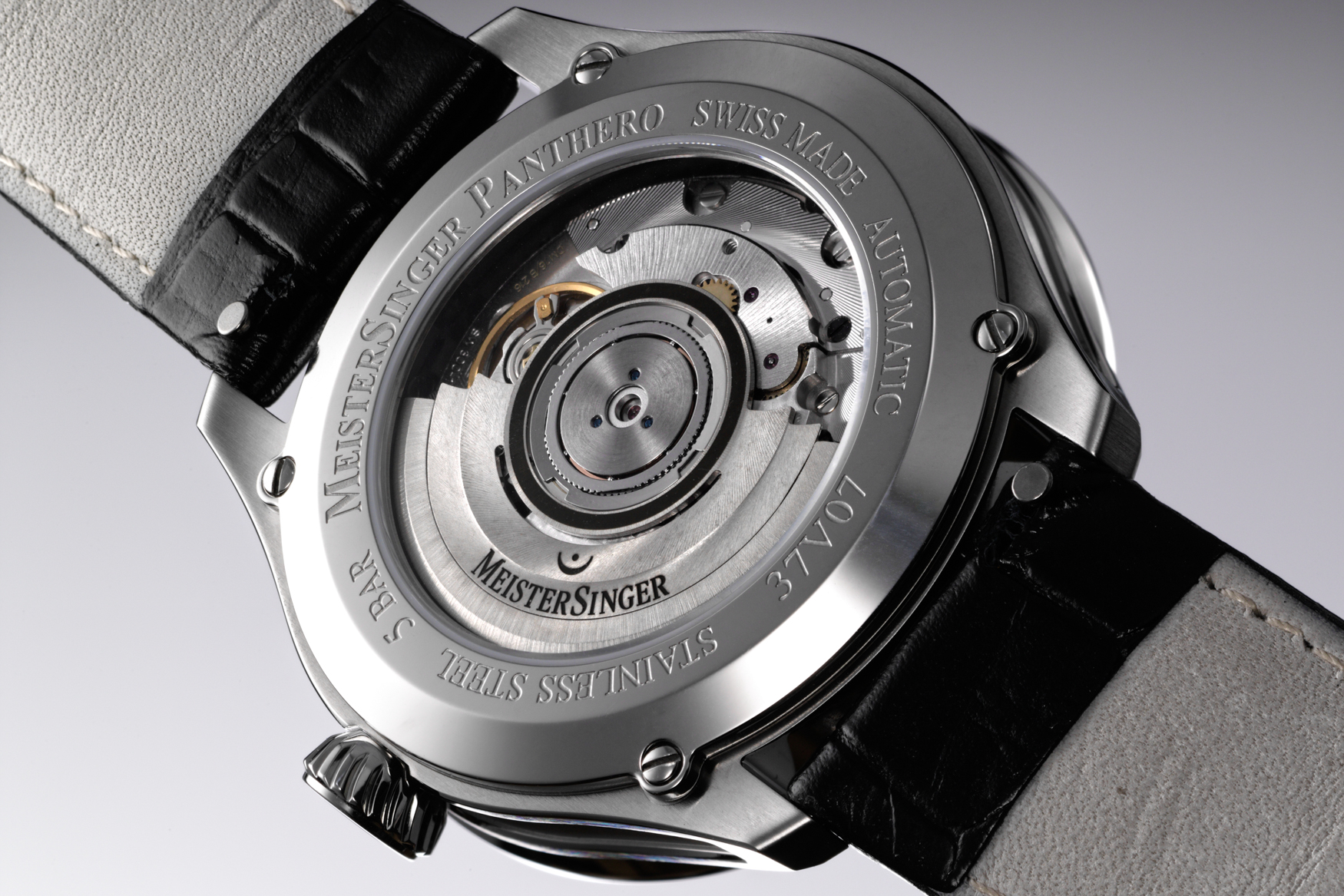 MS 1730 Panthero Rückseite 1