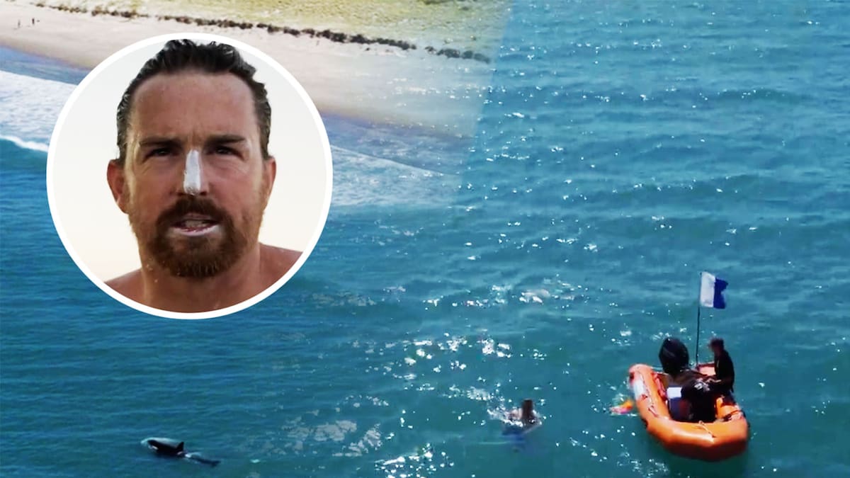 Orca spotted at Pāpāmoa Beach while New Zealand swimmer Jono Ridler attempts world record