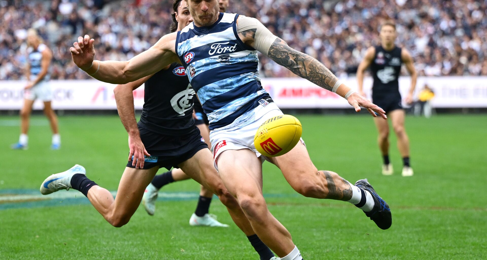 LIVE BLOG | Geelong v Carlton AAMI Community Series
