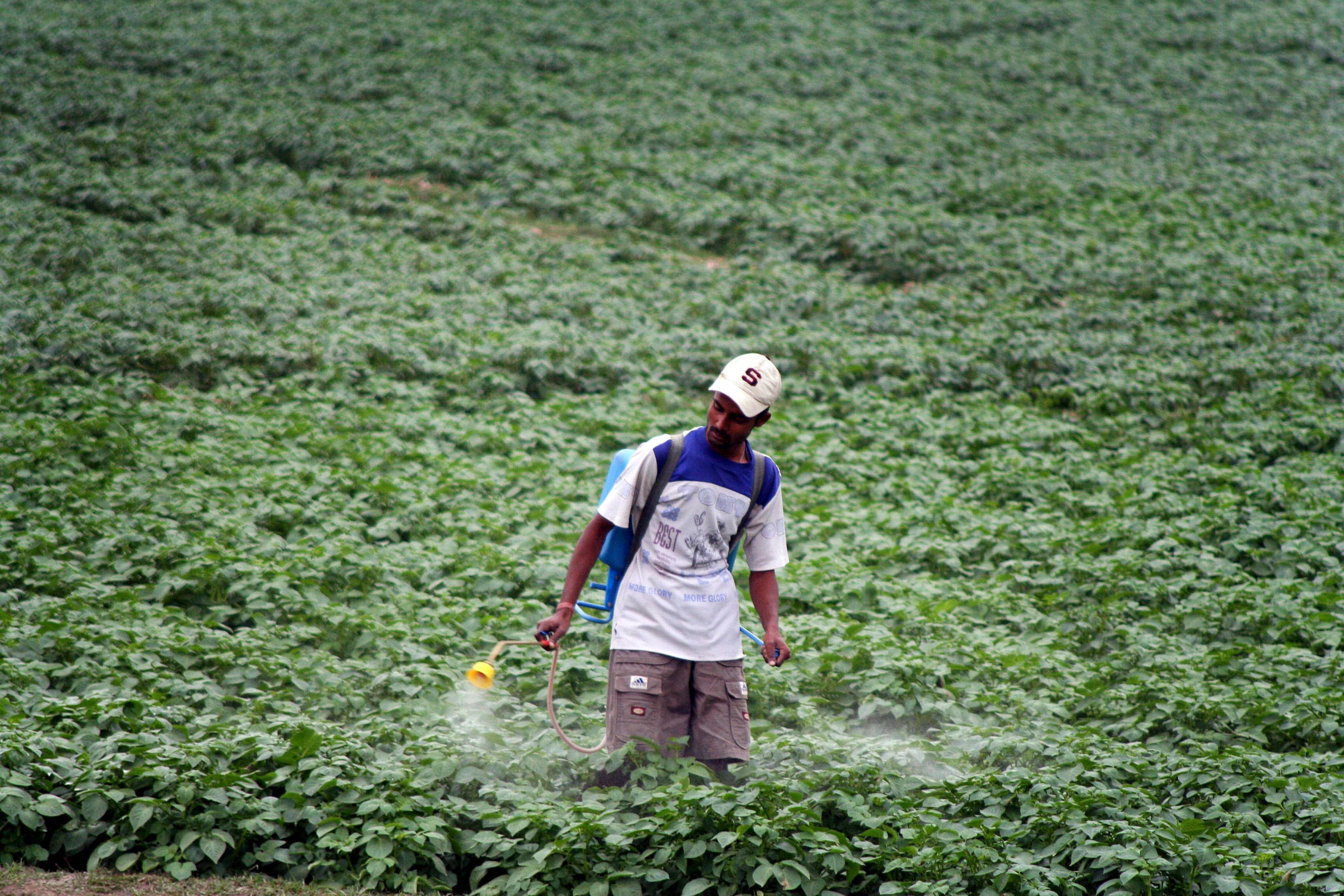 India’s soils, the very foundation of its agriculture and food systems, are under a severe, escalating strain. (AFP)