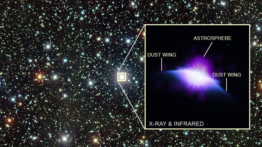 A starry section of space. One star is enlarged in a boxout that shows a purple disk-shape resembling a moth's winds. The purple figure is labeled: The wings are each called dust wings and a spherical light over it all is called the astrosphere.