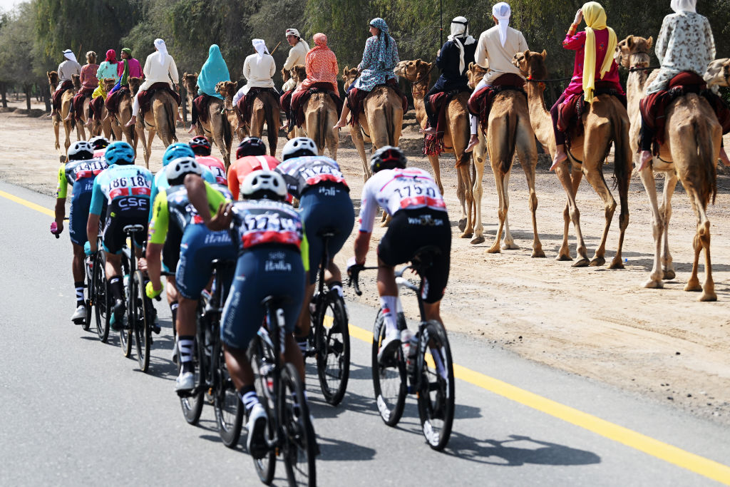 A group of competitors riding alongside a line of camels in the UAE Tour 2025