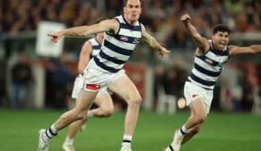 Cats star 'on track' for Opening Round, small forward set to miss
