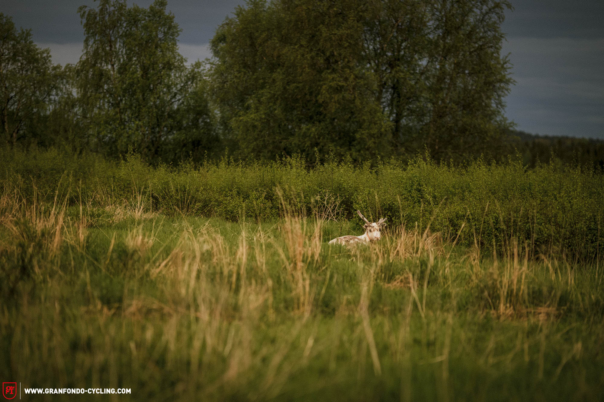 Ruka Gravel Finland 2025 Test Review WEB 10