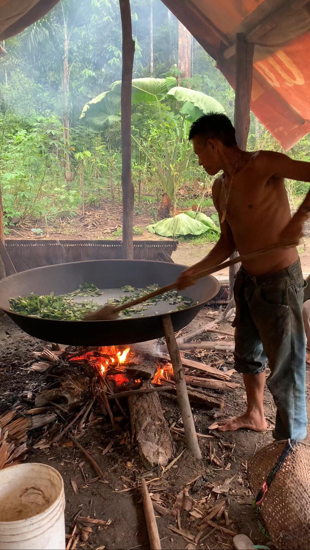 Fermin cooking coca leaves to prepare mambe powder (Photo: Guy Steinbruch) פרמין מבשל עלי קוקה כדי להכין אבקת ממבה