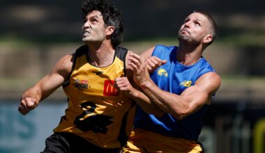 Speedster good to go for Origin as WA shuts down 'bruise-free footy' talk