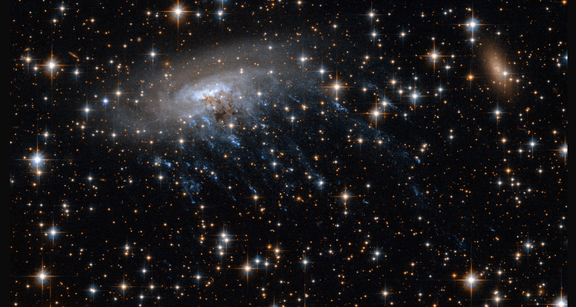 Astronomers spot 'jellyfish galaxy' torn apart 8.5 billion years ago