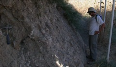 Brighter Side of News