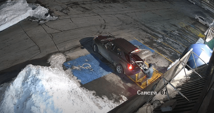 Signed Crosby, MacKinnon jerseys stolen from Halifax bar by masked thief - Halifax