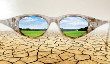 AI isn’t coming for advertising. Glasses are ~ Andy Flemming on the future of, well, everything.