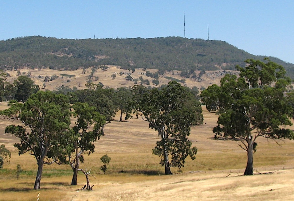 When the power of local radio goes well beyond the signal