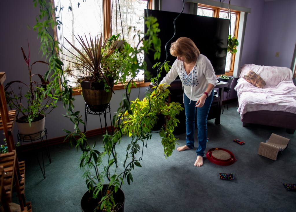 As hospital, health insurer battle over new contract, patients caught in the middle. Some relief may be on the way.