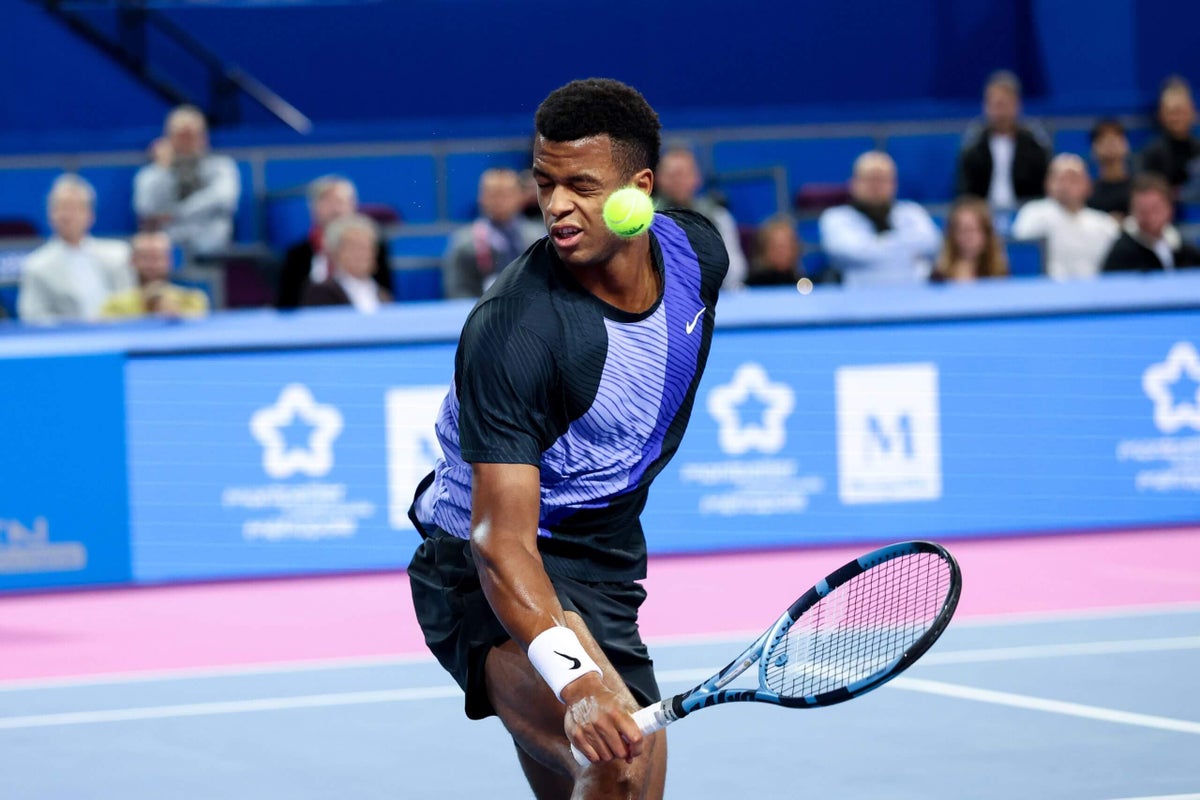 Tennis player retires injured after accidentally volleying ball into own eye