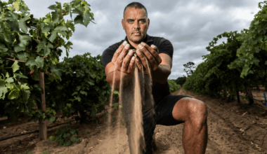 The world’s eyes on us: South Australian portrait featured in global wine photography exhibition - News