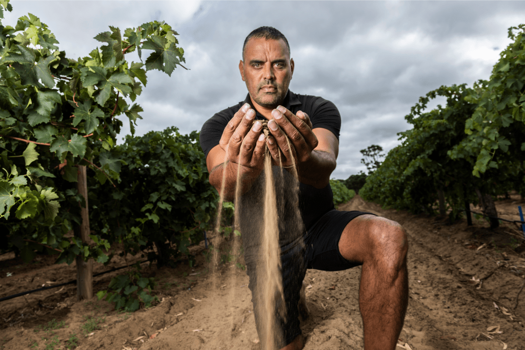 The world’s eyes on us: South Australian portrait featured in global wine photography exhibition - News