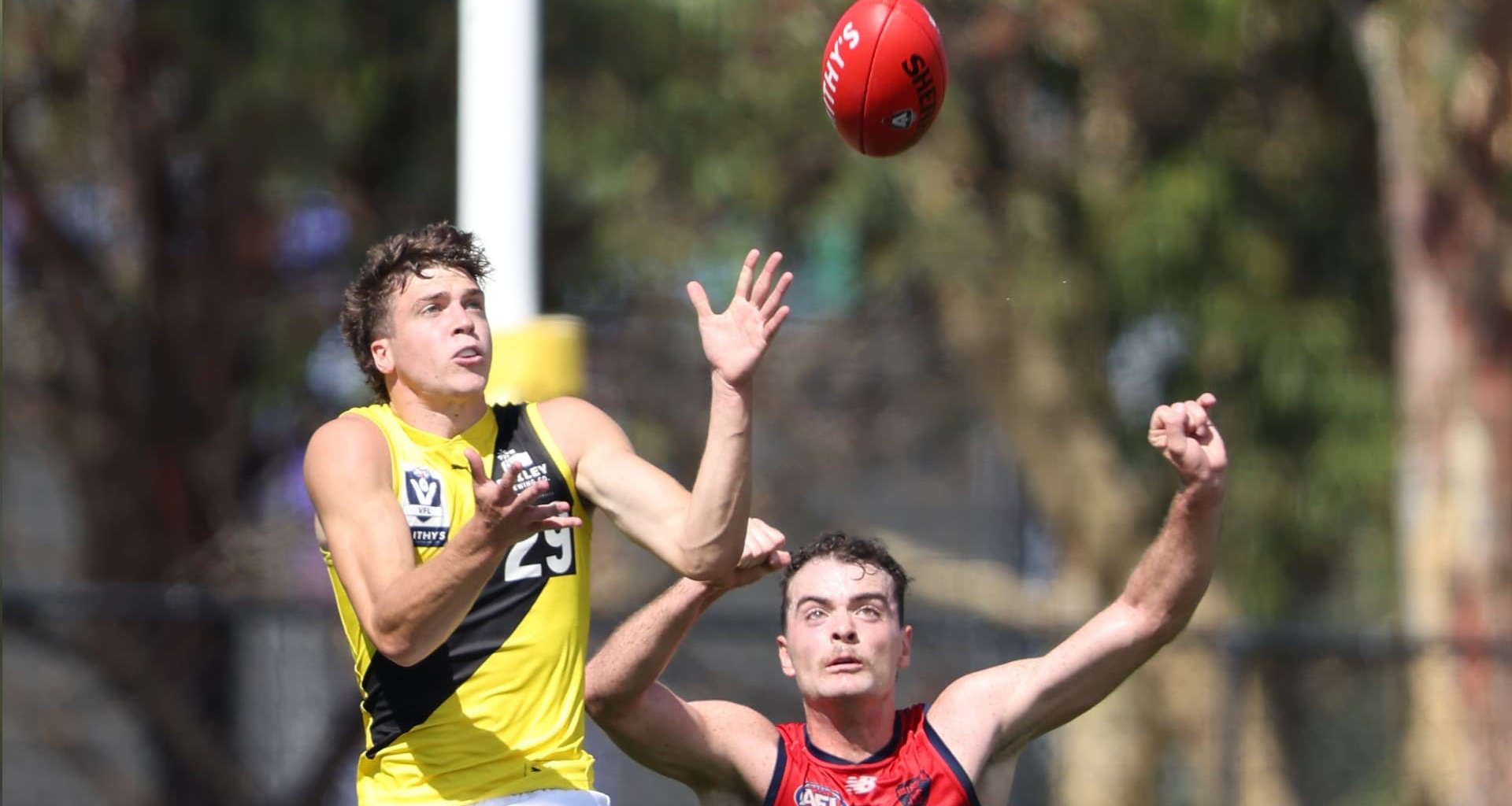 VFL Tigers down Dees in Casey scorcher