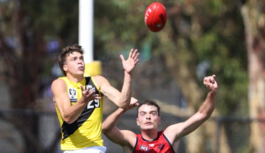 VFL Tigers down Dees in Casey scorcher