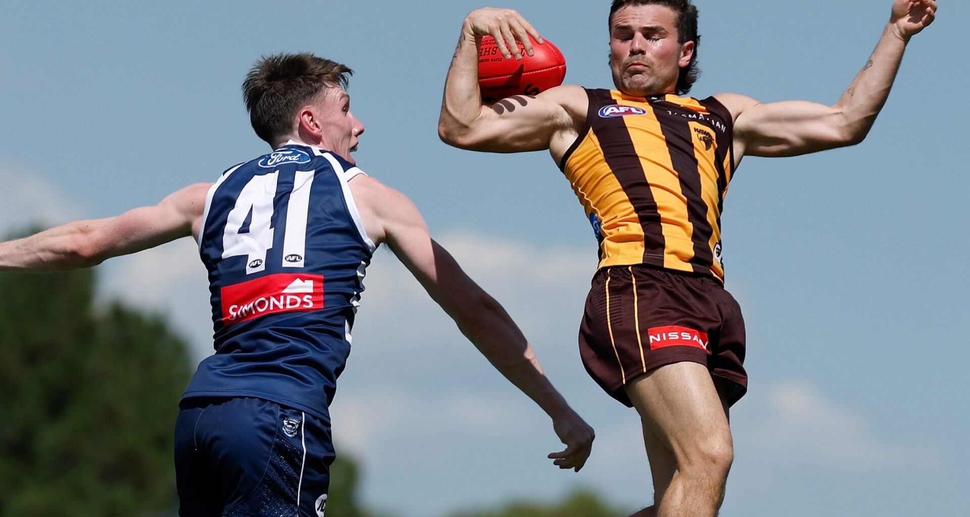 Hawks overcome slow start to down Cats in match sim