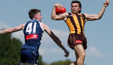 Hawks overcome slow start to down Cats in match sim