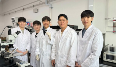 Breakthrough in Electrical Switching for Memory Tech