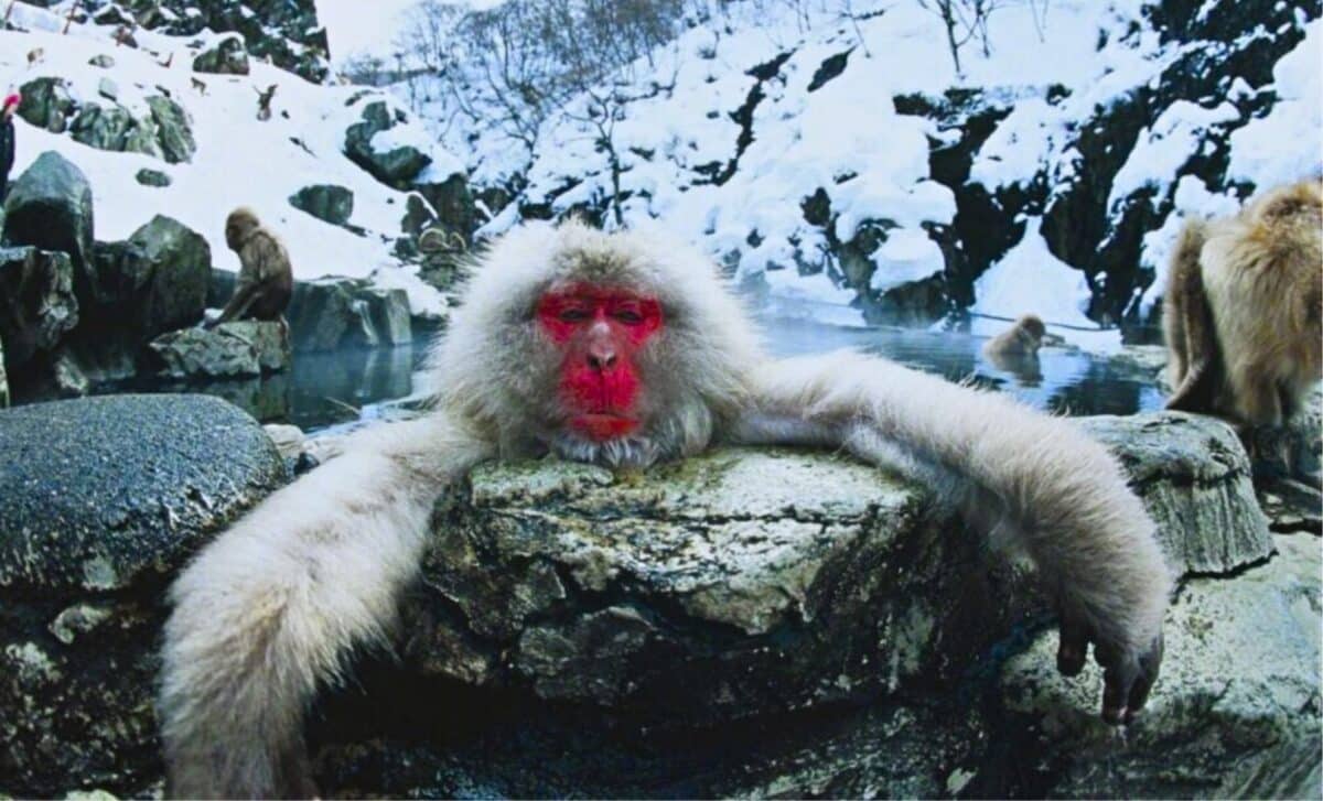 A Cozy Winter Ritual Turned Into Something Strange