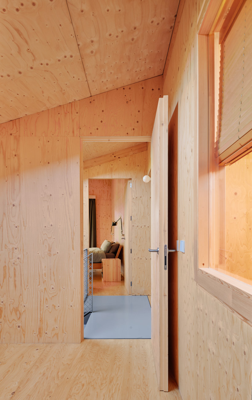 lightweight timber house in spain interlaces three raised volumes within tree canopy