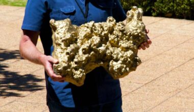 A Simple Gold Hunt In Australia Revealed A Rock Older Than Earth Itself