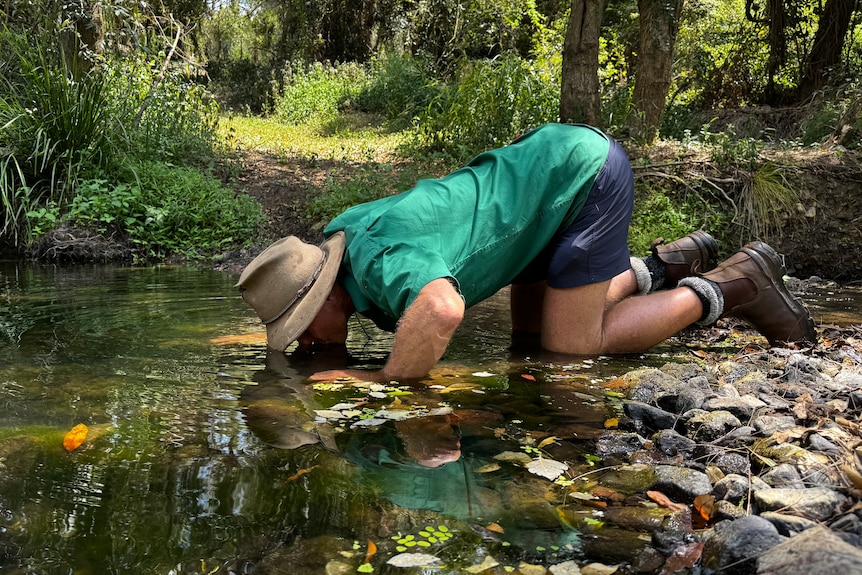 A man crouches at a creek drinking straight from the water.