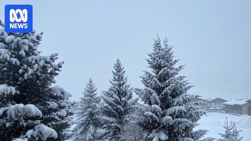 The night snow came to Livigno, turning this surreal valley into an even greater paradise