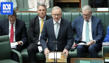 Albanese, Ley condemn alleged act of terror targeting Indigenous protesters