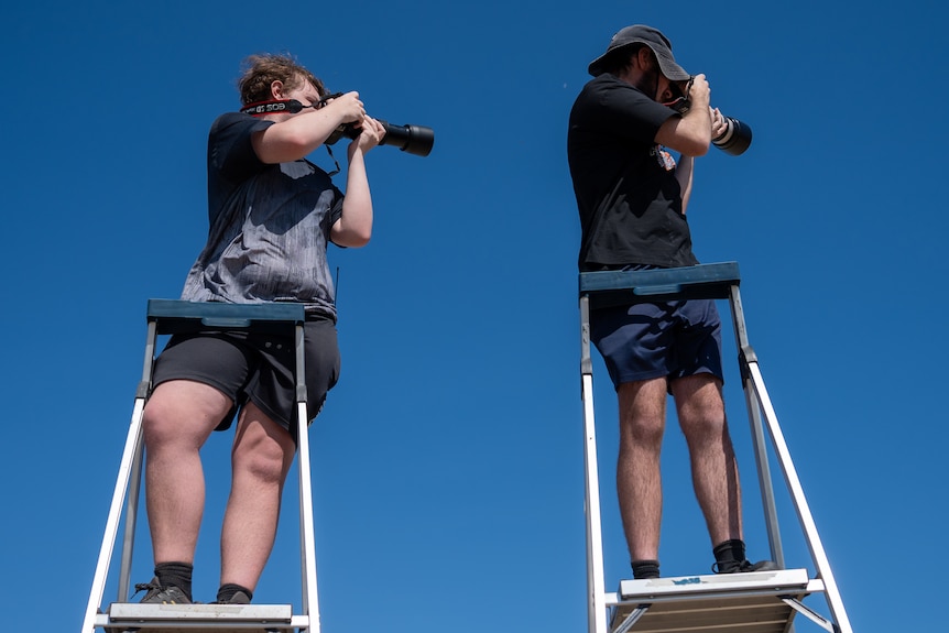Two men standing on ladders holding cameras