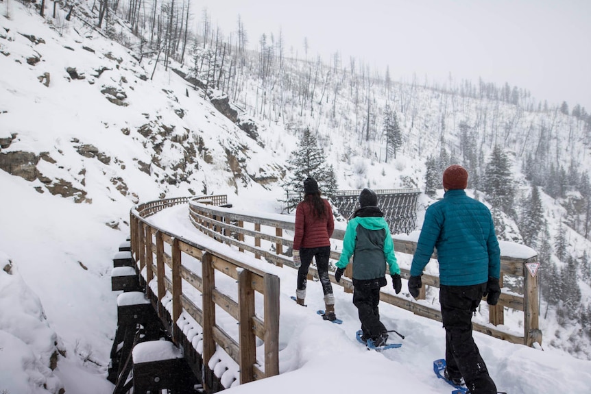 three people in snowshoes cross a wooden bridge