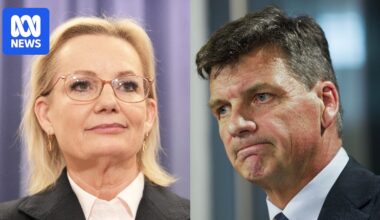 Liberals despair at prospect of 'non-existence' and weigh leadership change after catastrophic Newspoll