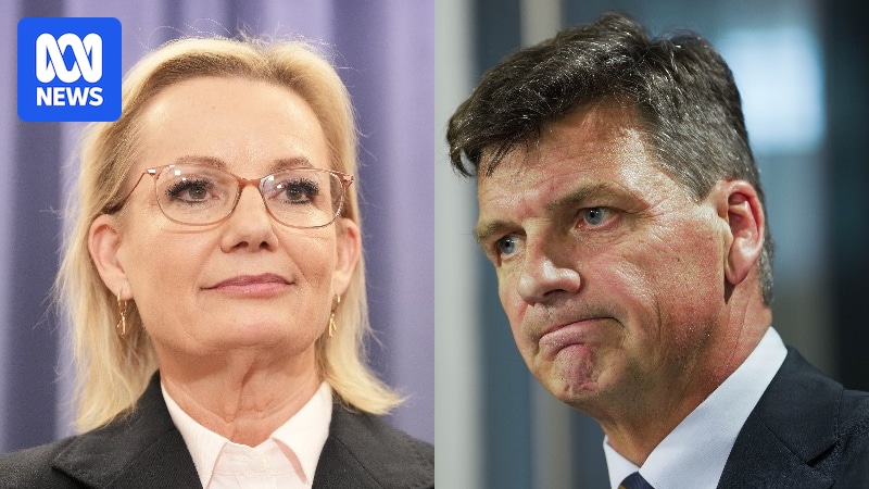 Liberals despair at prospect of 'non-existence' and weigh leadership change after catastrophic Newspoll