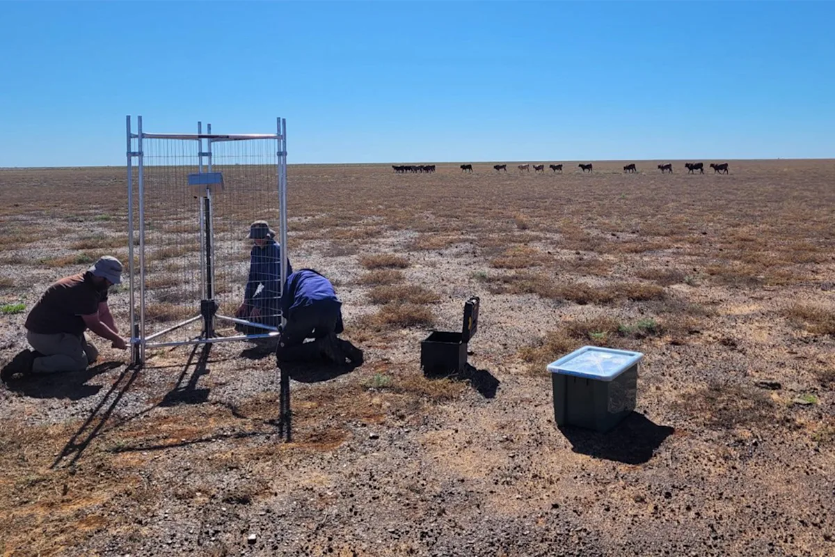 Surveillance device on outback cattle station captures incredibly rare Aussie animal