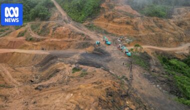 Consumers back call for country-of-origin labels on timber sold in Australia