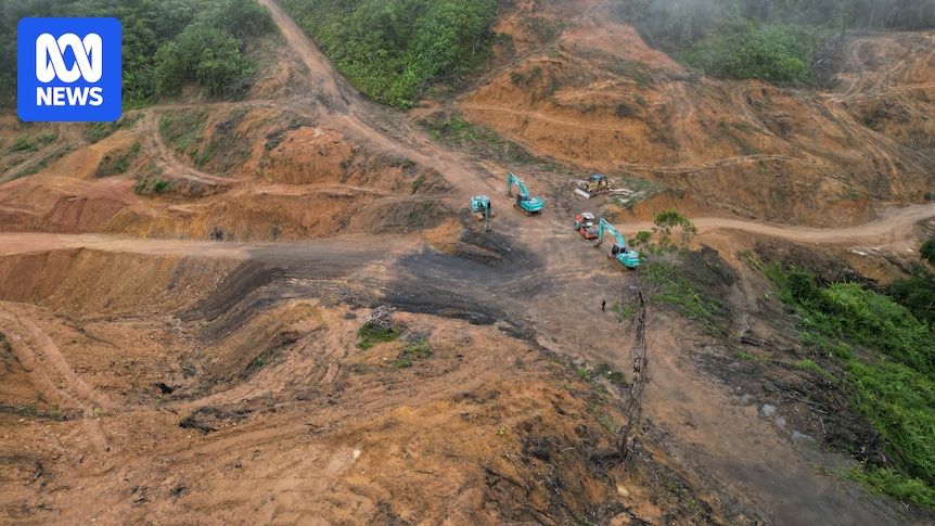 Consumers back call for country-of-origin labels on timber sold in Australia