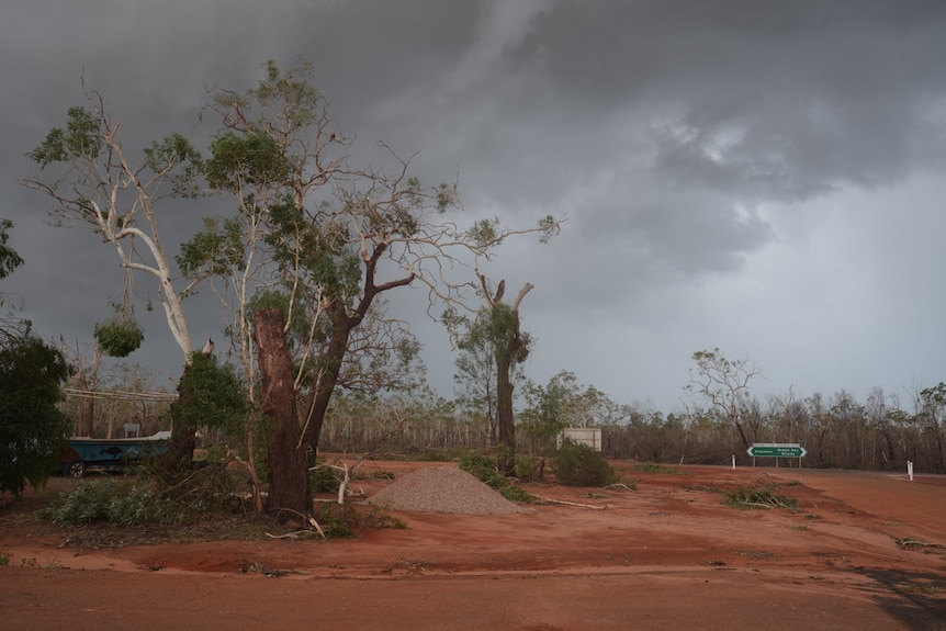 Cyclone damage on a country road with trees strewn