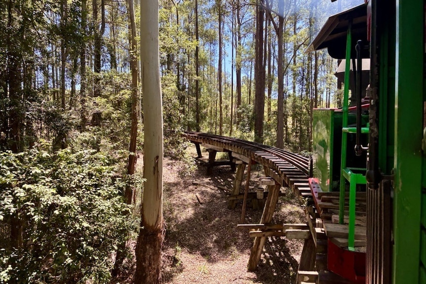 Tall trees as a green train rides on old wooden train tracks. 