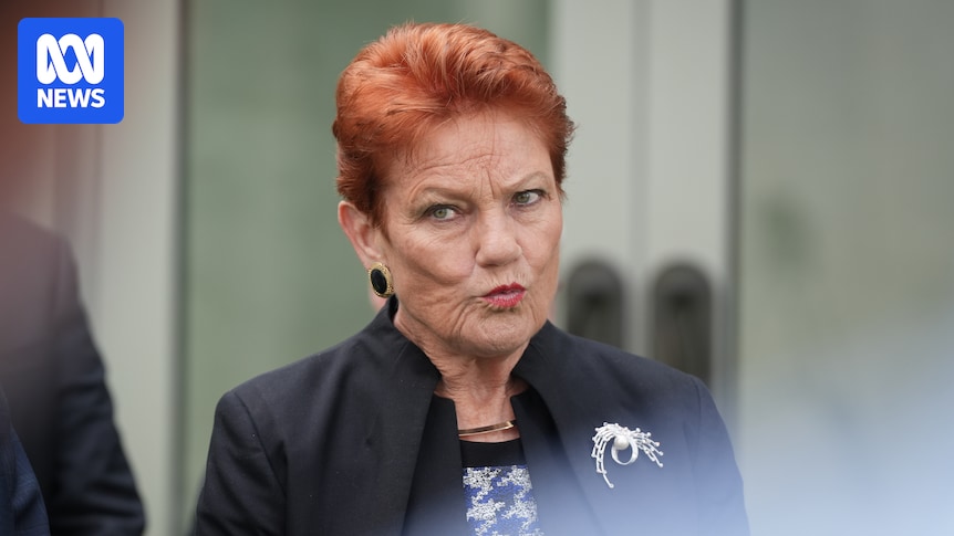 Pauline Hanson issues partial apology for suggesting there are no 'good' Muslims
