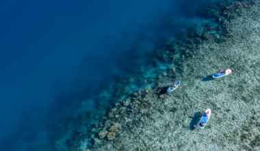 Subscribe to The Australian | Newspaper home delivery, website, iPad, iPhone & Android apps