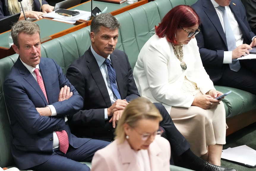 Angus Taylor sits in parliament surrounded by Liberal Party colleagues, as Sussan Ley speaks.