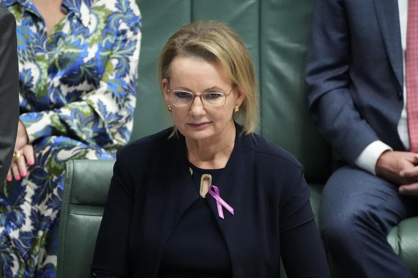 Sussan Leu sits in the house of representatives.