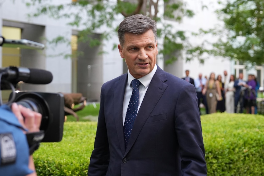 Angus Taylor stands in the courtyard of Parliament House with a TV camera pointed at him.